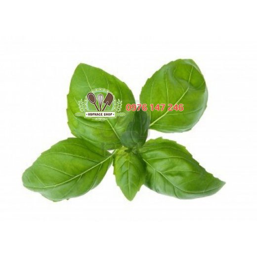 Lá Basil Lá Basil