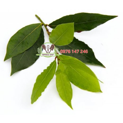 Lá nguyệt quế Bay leaf