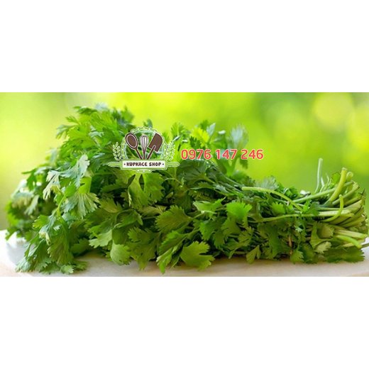 Lá Parsley / ngò (mùi) tây 