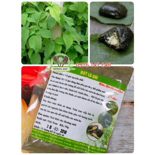 Bột lá gai CQ 50gr
