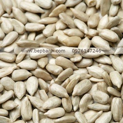 Nhân hạt hướng dương Nhân hạt hướng dương