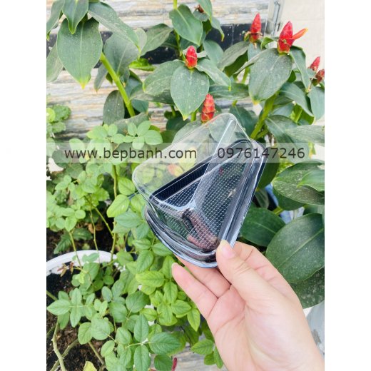 Hộp nhựa đậy tam giác nhọn đế đen A03 Hộp nhựa đậy tam giác nhọn đế đen A03