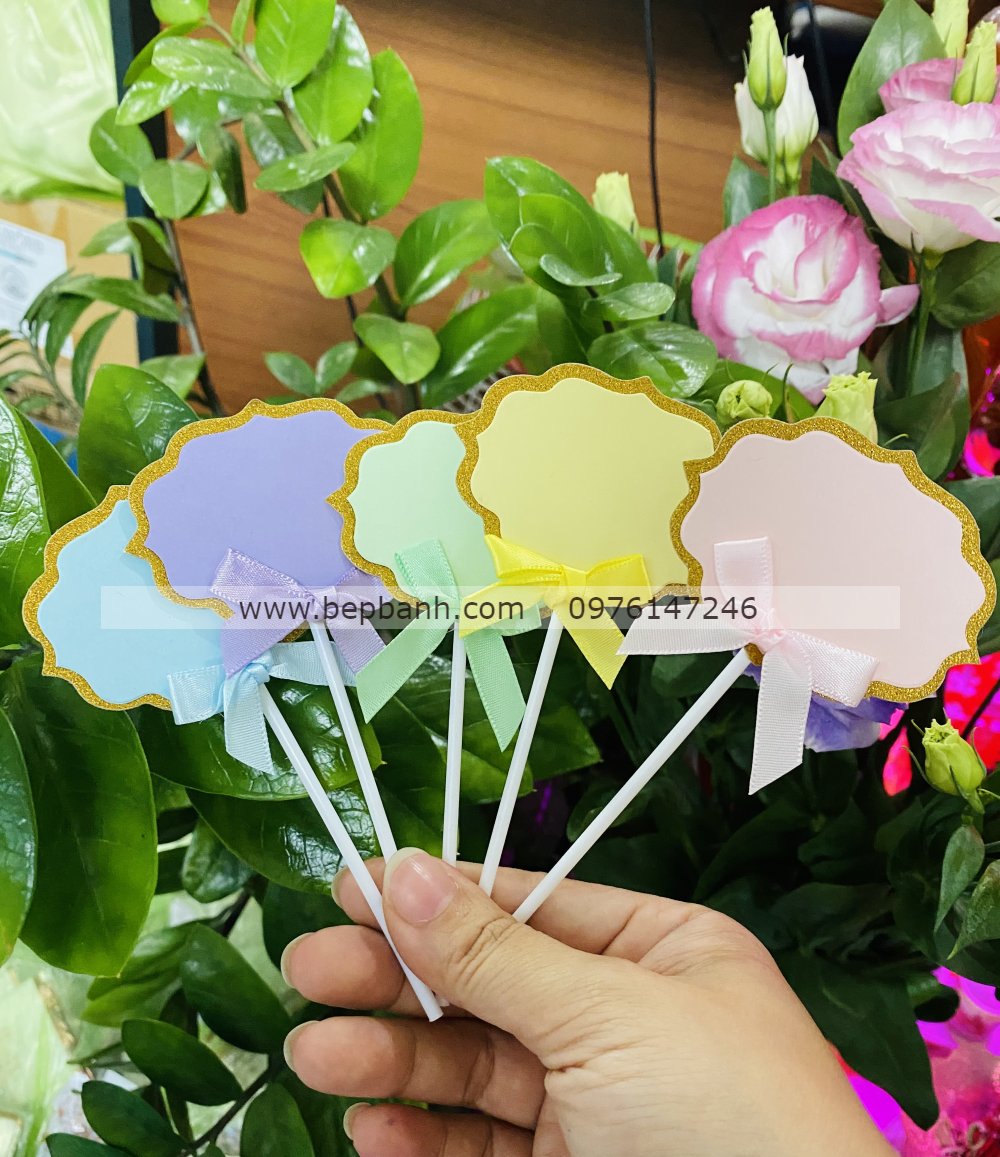 Stick cắm tự ghi