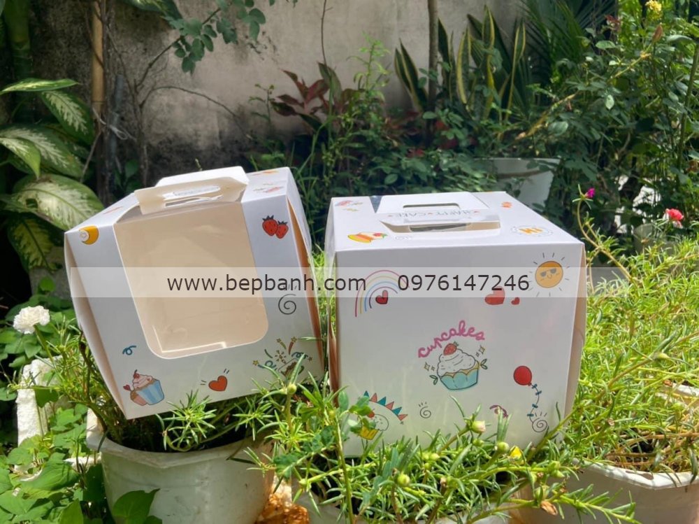 Hộp bánh kem kèm đế size 16cm