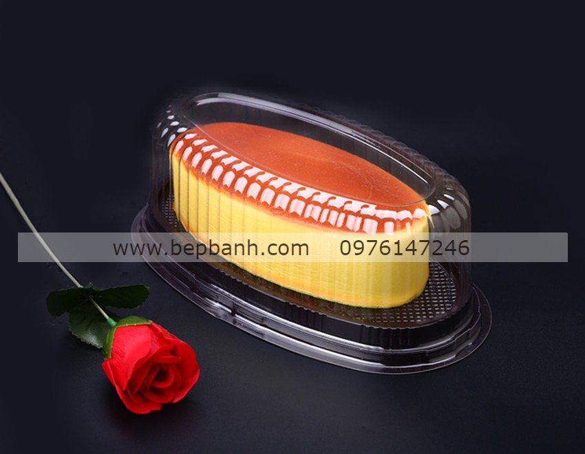 Hộp nhựa đậy oval đế đen F70