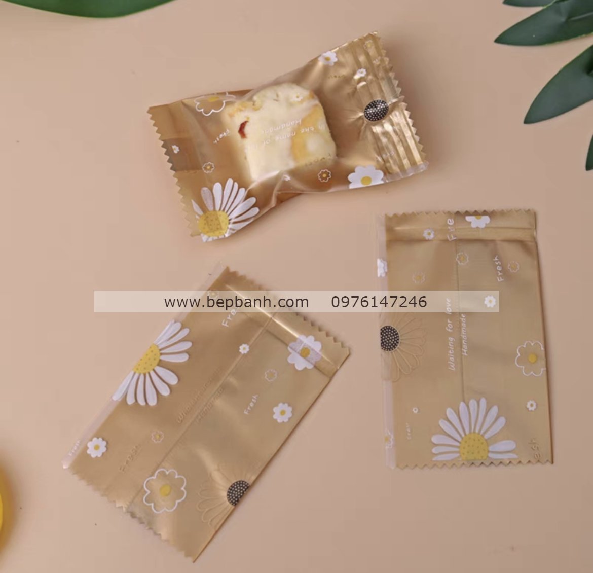 Túi ép nhập ngang 10cm / khay 50gr