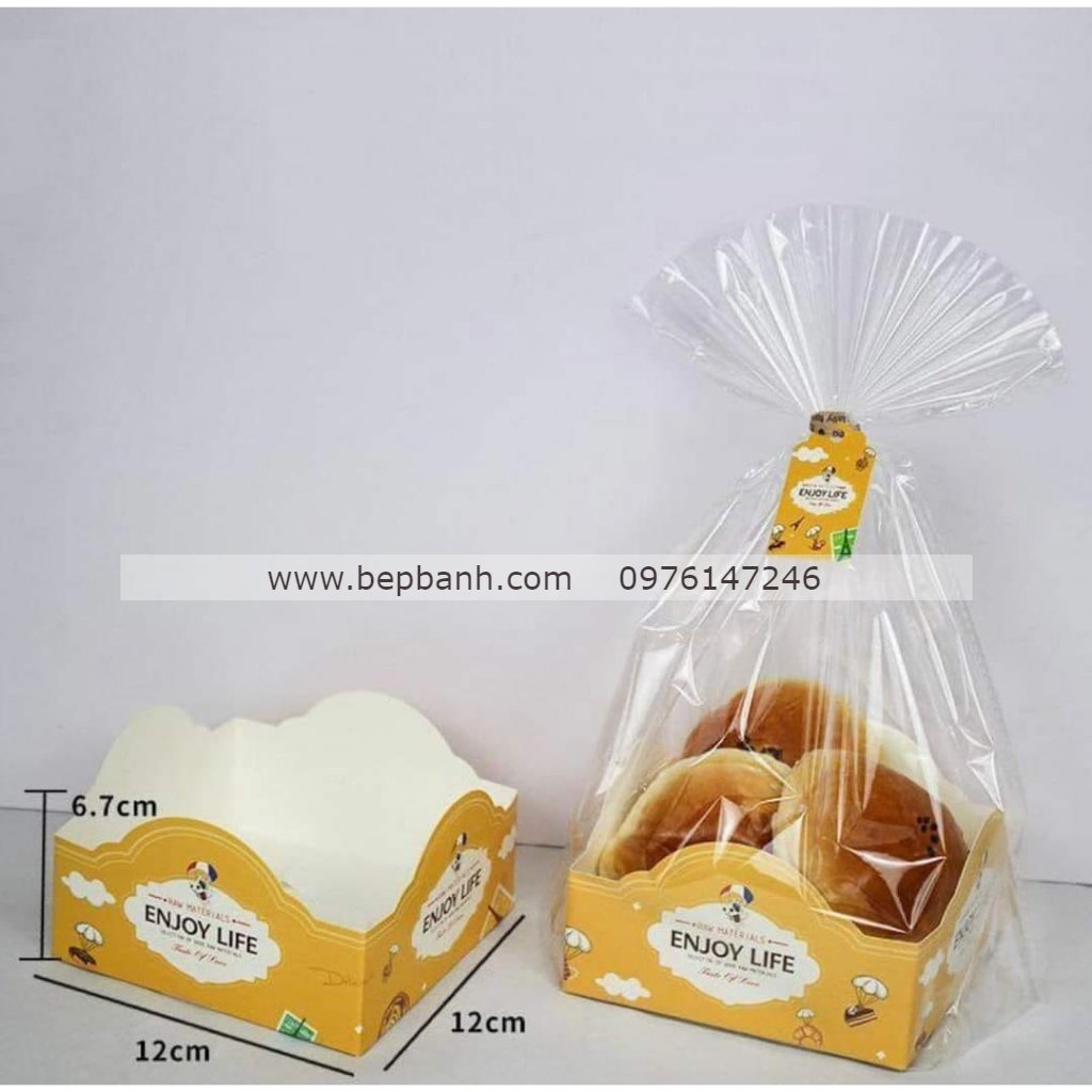 Túi đựng đế vuông thành thấp 12cm Túi đựng đế vuông thành thấp 12cm