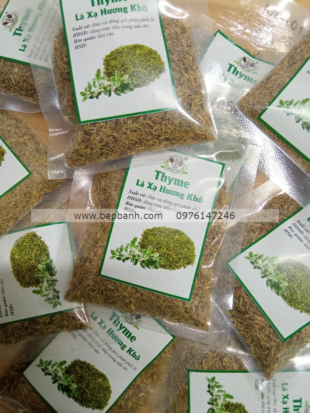 Cỏ xạ hương Thyme