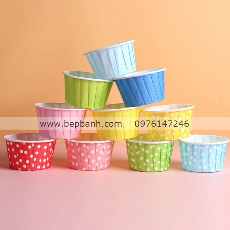 Cup giấy cứng viền cây 100 Cup giấy cứng viền cây 100